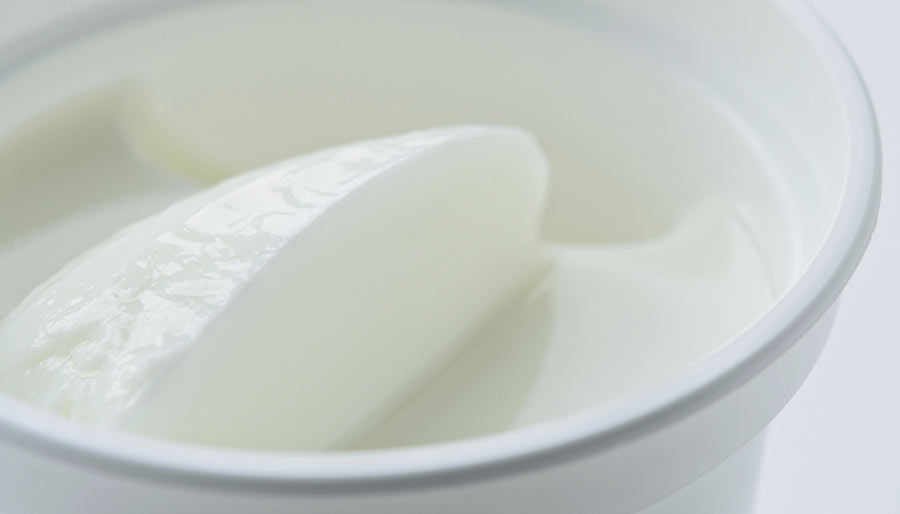 yogurt-starter-cultures