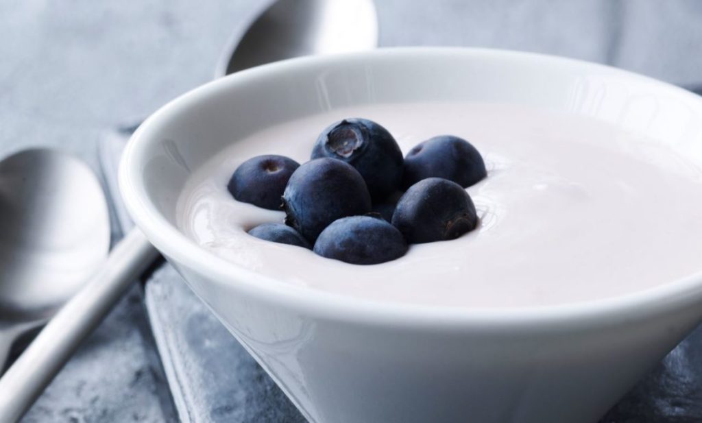 Yogurt starter cultures