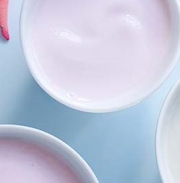 probiotic fermented milk
