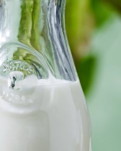 kefir